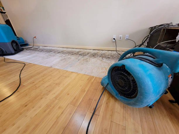 Professional Water Damage Repair technician working in Fort Hunter, NY